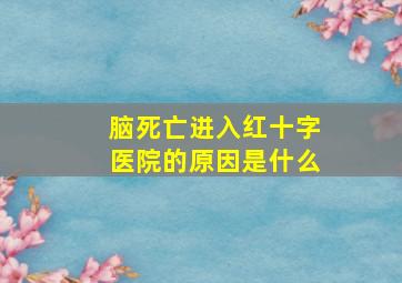 脑死亡进入红十字医院的原因是什么