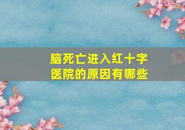 脑死亡进入红十字医院的原因有哪些