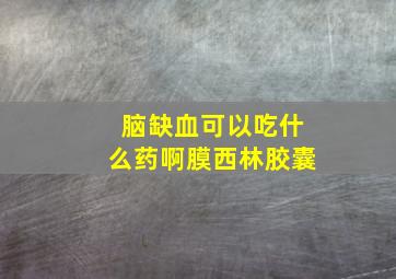 脑缺血可以吃什么药啊膜西林胶囊