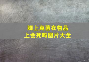 脚上真菌在物品上会死吗图片大全