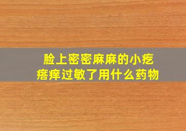 脸上密密麻麻的小疙瘩痒过敏了用什么药物