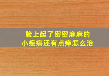 脸上起了密密麻麻的小疙瘩还有点痒怎么治