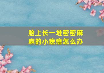 脸上长一堆密密麻麻的小疙瘩怎么办