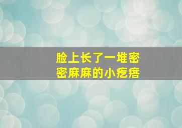 脸上长了一堆密密麻麻的小疙瘩