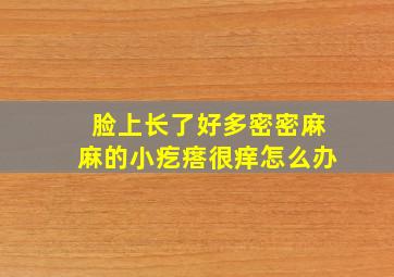 脸上长了好多密密麻麻的小疙瘩很痒怎么办