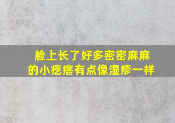 脸上长了好多密密麻麻的小疙瘩有点像湿疹一样