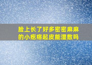 脸上长了好多密密麻麻的小疙瘩起皮能湿敷吗