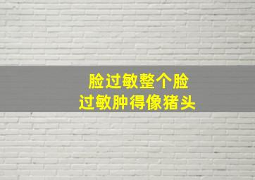 脸过敏整个脸过敏肿得像猪头