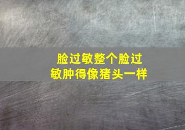 脸过敏整个脸过敏肿得像猪头一样