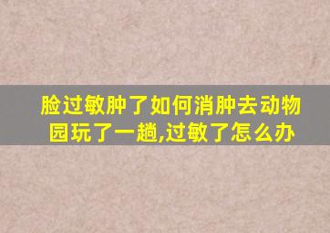 脸过敏肿了如何消肿去动物园玩了一趟,过敏了怎么办