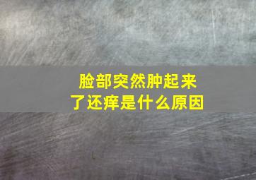 脸部突然肿起来了还痒是什么原因