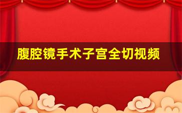 腹腔镜手术子宫全切视频