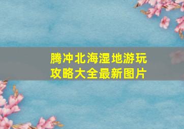 腾冲北海湿地游玩攻略大全最新图片