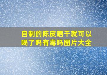 自制的陈皮晒干就可以喝了吗有毒吗图片大全