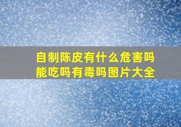 自制陈皮有什么危害吗能吃吗有毒吗图片大全