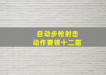 自动步枪射击动作要领十二届