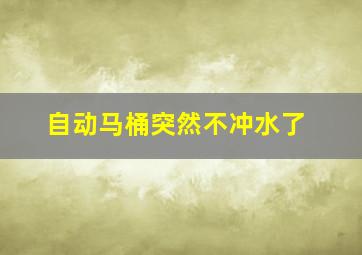 自动马桶突然不冲水了