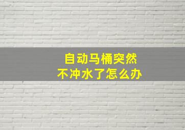 自动马桶突然不冲水了怎么办