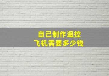 自己制作遥控飞机需要多少钱