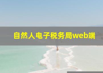 自然人电子税务局web端