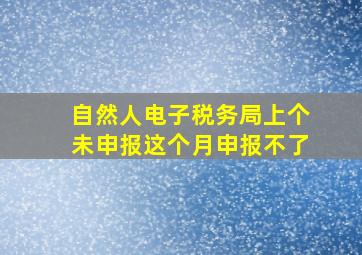 自然人电子税务局上个未申报这个月申报不了