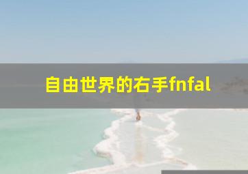 自由世界的右手fnfal