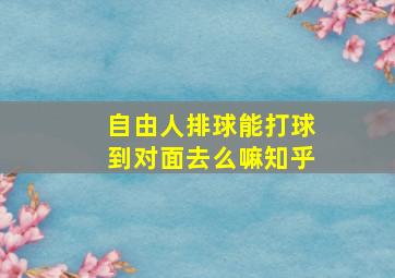 自由人排球能打球到对面去么嘛知乎