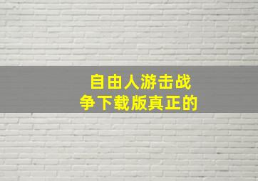 自由人游击战争下载版真正的