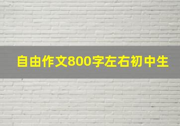 自由作文800字左右初中生