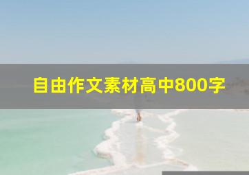 自由作文素材高中800字