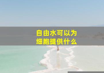 自由水可以为细胞提供什么