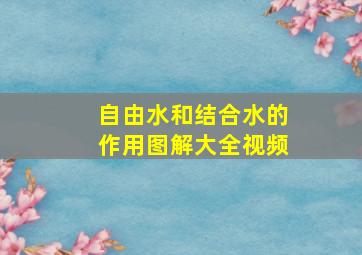 自由水和结合水的作用图解大全视频