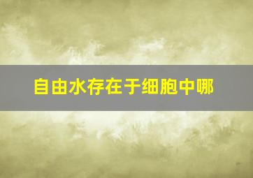 自由水存在于细胞中哪