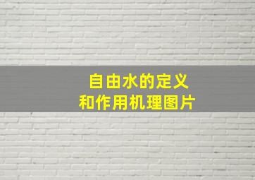 自由水的定义和作用机理图片