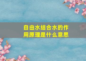 自由水结合水的作用原理是什么意思