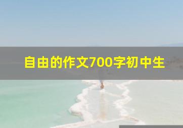 自由的作文700字初中生