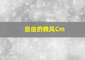 自由的微风Cm