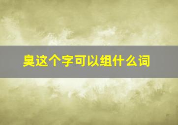 臭这个字可以组什么词