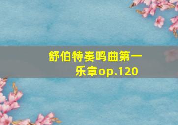 舒伯特奏鸣曲第一乐章op.120