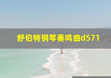 舒伯特钢琴奏鸣曲d571