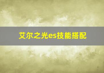 艾尔之光es技能搭配