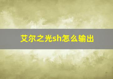 艾尔之光sh怎么输出