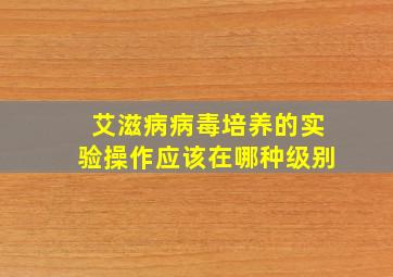 艾滋病病毒培养的实验操作应该在哪种级别