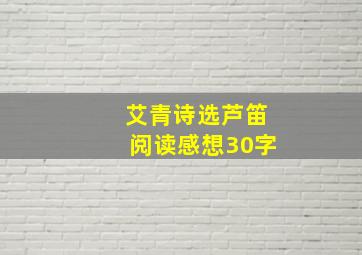 艾青诗选芦笛阅读感想30字