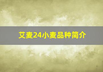 艾麦24小麦品种简介