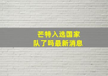 芒特入选国家队了吗最新消息