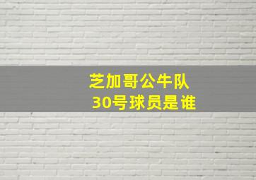 芝加哥公牛队30号球员是谁