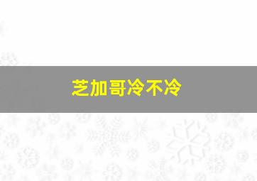 芝加哥冷不冷