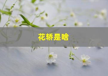 花轿是啥