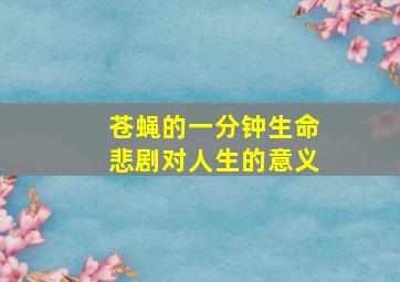 苍蝇的一分钟生命悲剧对人生的意义